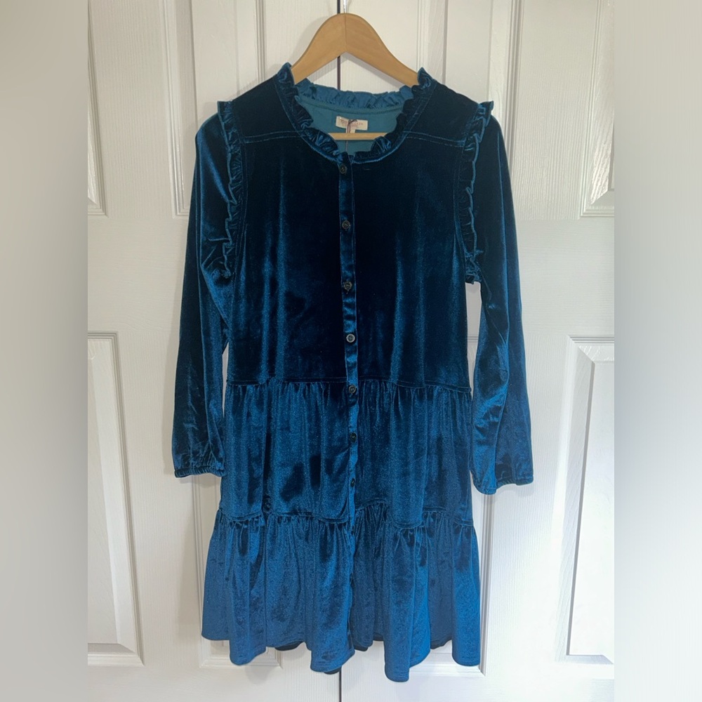 Pink chicken velour kalani dress womens small NWT